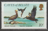 Cayes of Belize - z 1. série  ** různý obraz