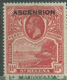 Ascension, př. na St. Helena růz nom
