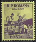 R.P. Romana