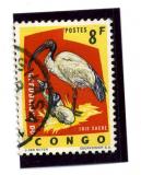Congo   razítko Kinhasa                         