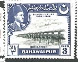 Bahawalpur růz nom