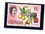 Grenada associated statehood vyvoj nazvu země + obdobi 