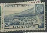 Guyane Petain růz nom