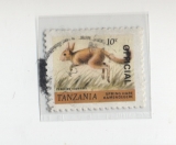 Tanzania služební