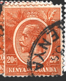 Kenya a Uganda růz nom
