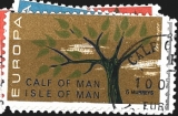 Calf of man růz nom
