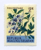 Jižní Moluky, květiny - různý nom.