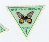 Jižní Moluky, motýl