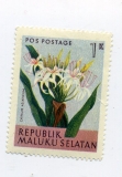 Jižní Moluky, květiny