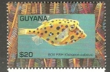Guyana ( bez south america ) vývoj růz obr