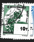 Mongolia, př.nové měny, různý nom. a obraz