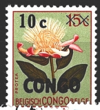 Congo x Belgické Kongo
