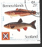 Bernera Islands - různý nom. 