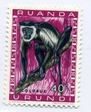 Ruanda Urundi, čistá