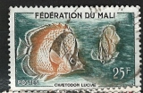 Federation du Mali