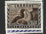 Galapágy - různý obraz