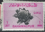 Bahwalpur růz nom