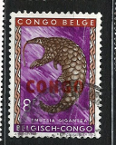 Congo Belge/CONGO