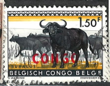 Congo/ belg congo růz nom