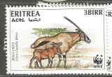 Eritrea růz nom
