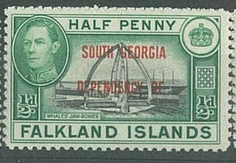 South georgia růz nom