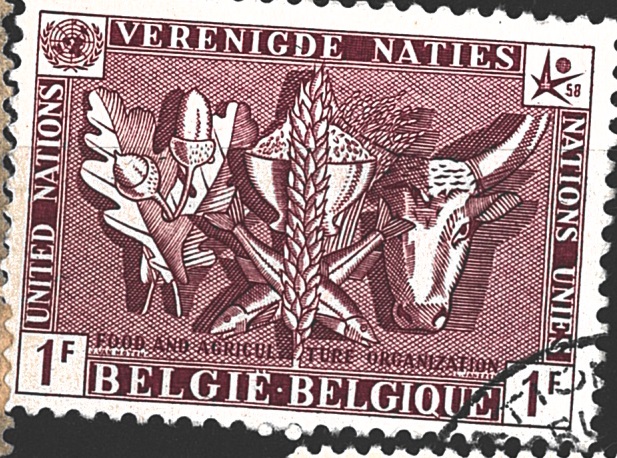 Belgie OSN