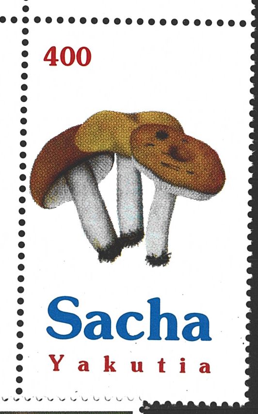 Sacha Yakutia