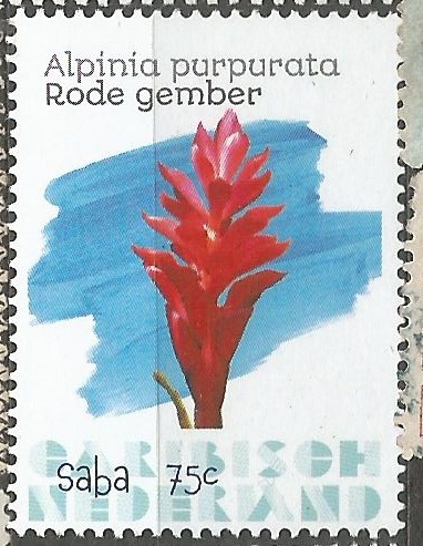 Saba
