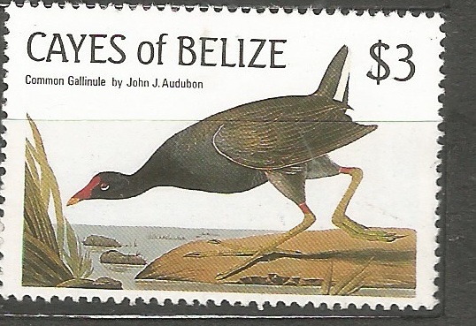 cayes of Belize